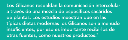 Los Glicanos respaldan la comunicaci n intercelular a trav s de una mezcla de espec ficos sac ridos de plantas. Los e...