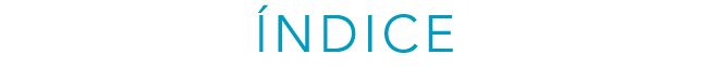  NDICE